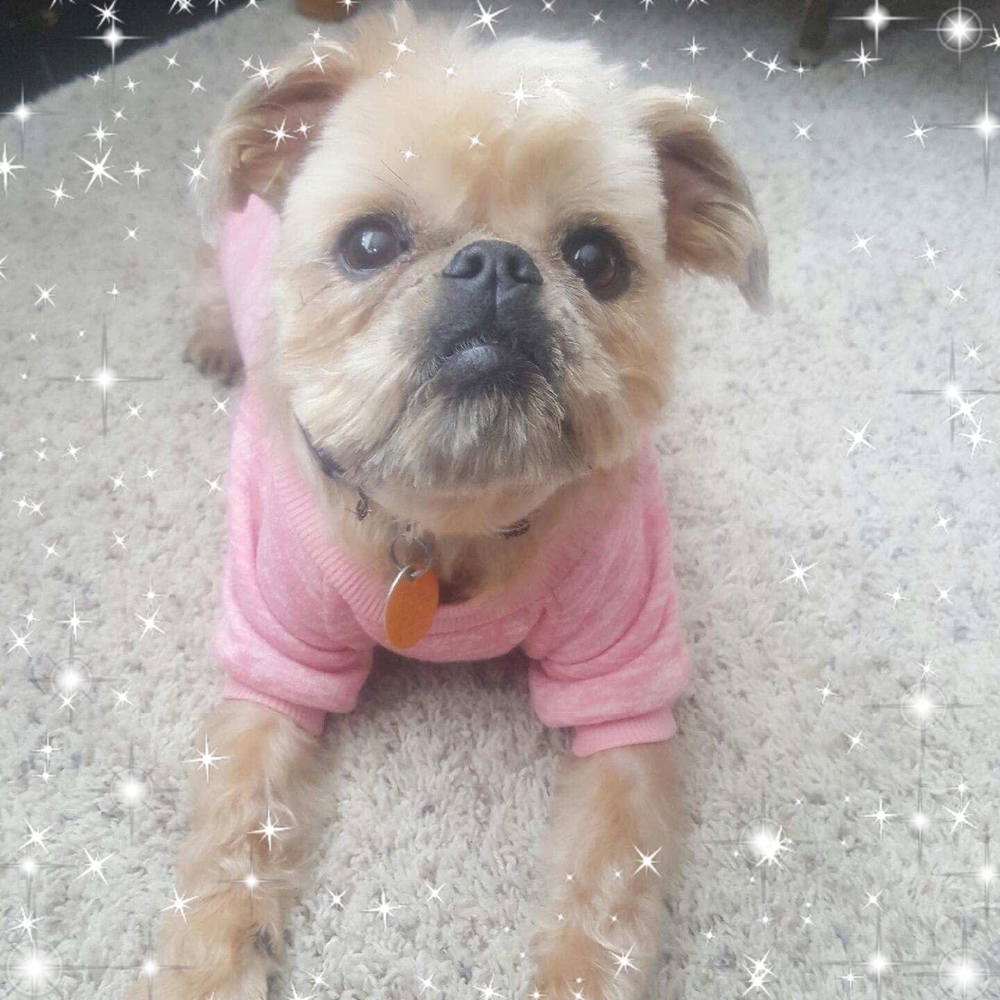 Meet your Posher, Amber